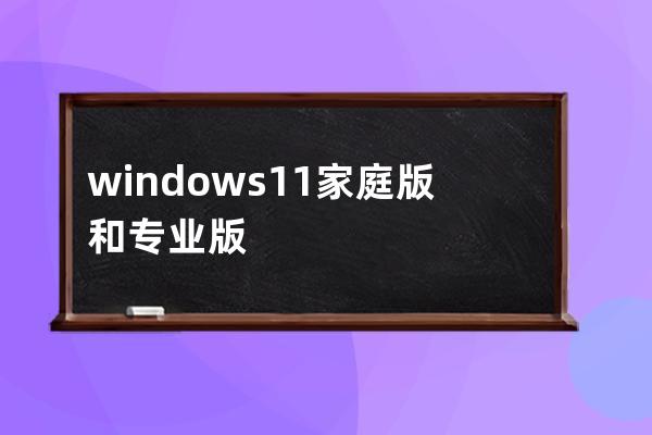 windows11家庭版和专业版有什么区别