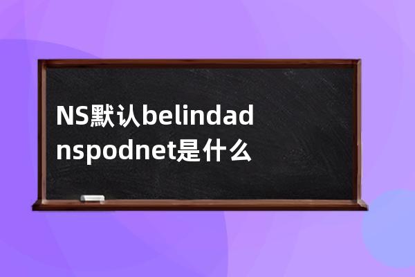  NS 默认 belinda.dnspod.net.是什么