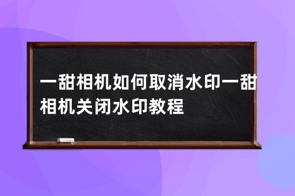 一甜相机如何取消水印?一甜相机关闭水印教程 