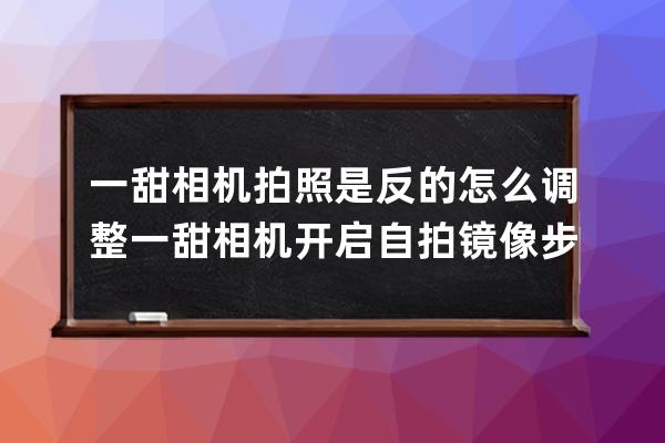 一甜相机拍照是反的怎么调整?一甜相机开启自拍镜像步骤 