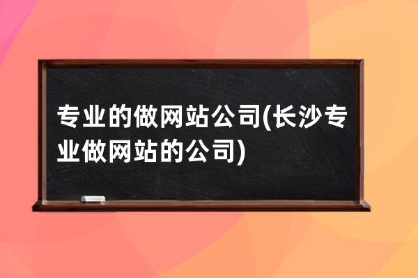 专业的做网站公司(长沙专业做网站的公司)