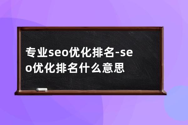 专业seo优化排名-seo 优化排名什么意思