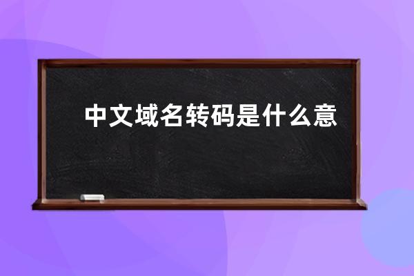 中文域名转码是什么意思?