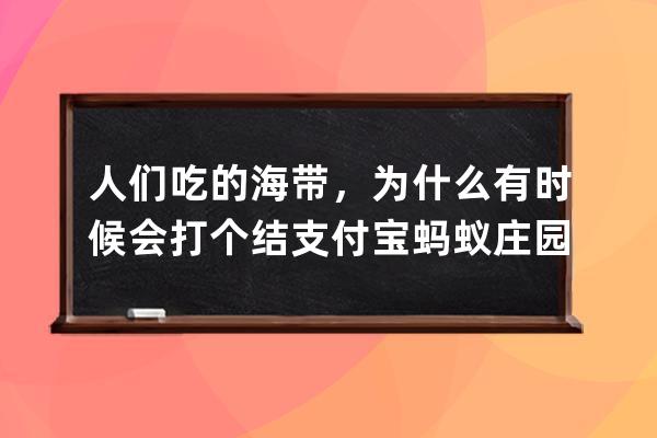 人们吃的海带，为什么有时候会打个结?支付宝蚂蚁庄园6月19日答案 