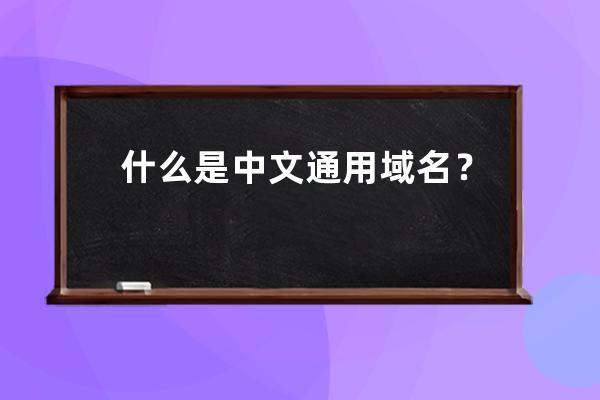 什么是中文通用域名？