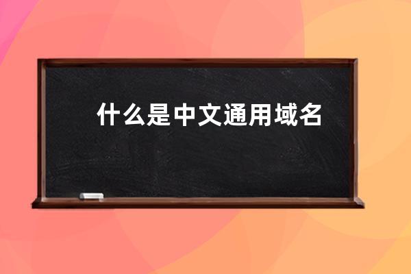 什么是中文通用域名