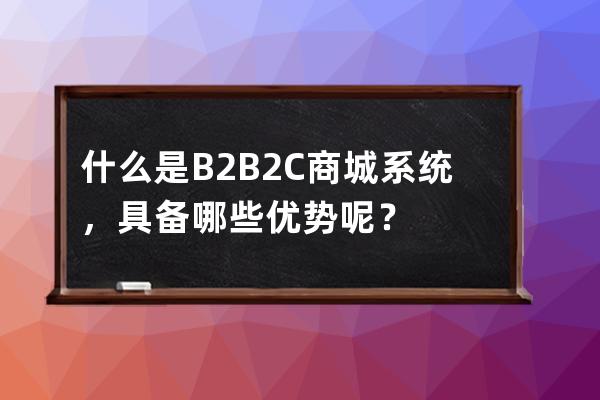 什么是B2B2C商城系统，具备哪些优势呢？ 