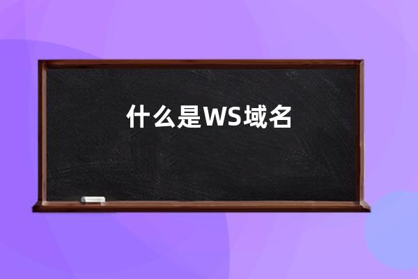 什么是.WS域名?