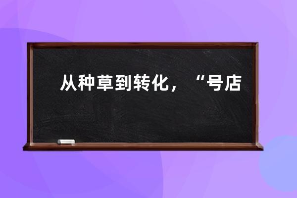 从种草到转化，“号店一体”能否承载抖音电商野心？ 