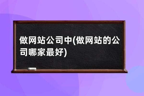 做网站公司中(做网站的公司哪家最好)