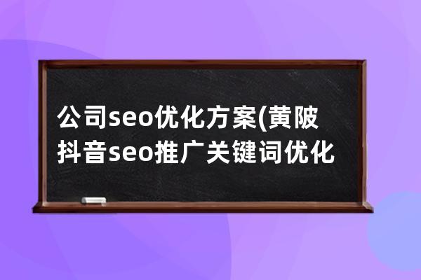 公司seo优化方案(黄陂抖音seo推广关键词优化方案)