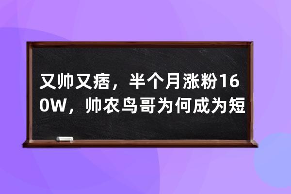 又帅又痞，半个月涨粉160W，帅农鸟哥为何成为短视频乡村黑马？ 