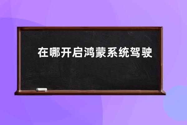 在哪开启鸿蒙系统驾驶模式?鸿蒙系统开启驾驶模式的方法步骤 