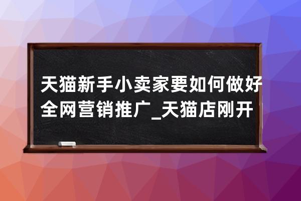 天猫新手小卖家要如何做好全网营销推广_天猫店刚开始需要怎么推广 