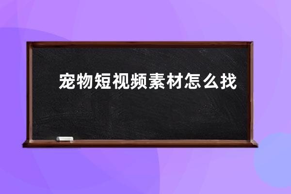 宠物短视频素材怎么找 宠物短视频拍摄教学