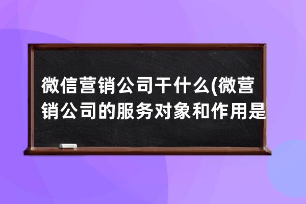 微信营销公司干什么(微营销公司的服务对象和作用是什么)