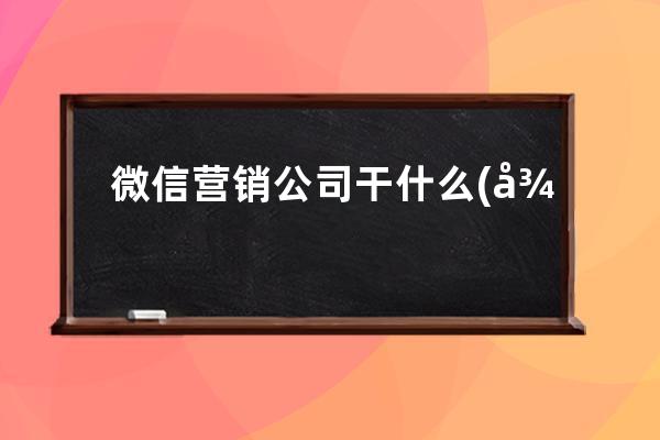 微信营销公司干什么(微营销公司的服务对象和作用是什么)