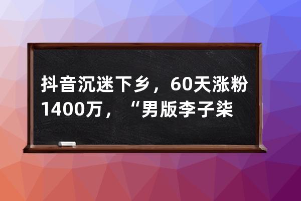 抖音沉迷下乡，60天涨粉1400万，“男版李子柒”张同学能火多久_抖音乡愁和李 