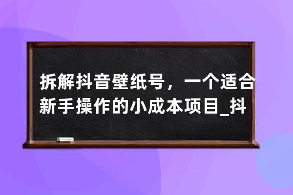 拆解抖音壁纸号，一个适合新手操作的小成本项目_抖音壁纸号怎么赚钱 