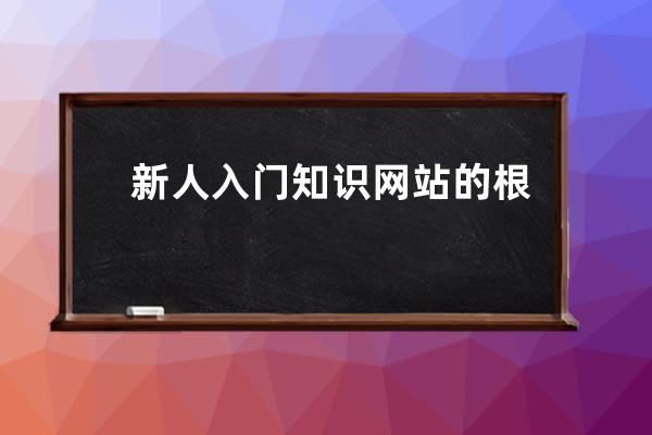 新人入门知识 网站的根目录 web的根目录