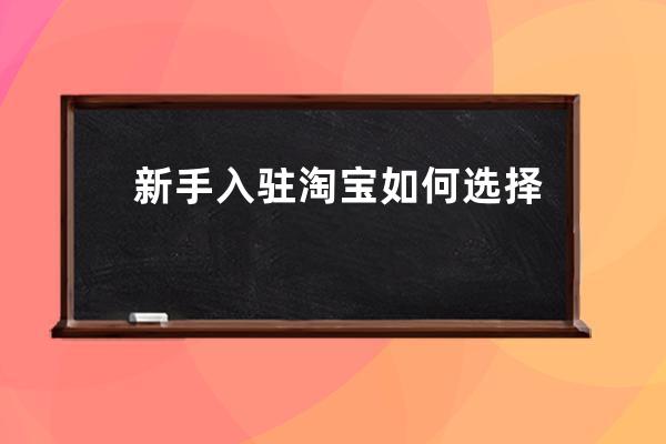 新手入驻淘宝如何选择类目？淘宝改了类目降权多久？ 