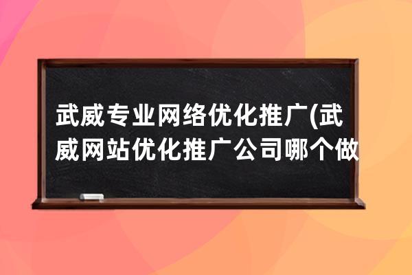 武威专业网络优化推广(武威网站优化推广公司哪个做得好)