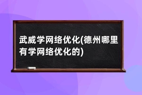 武威学网络优化(德州哪里有学网络优化的)