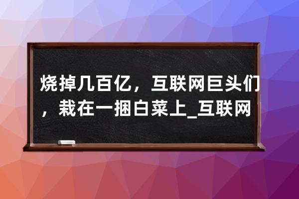 烧掉几百亿，互联网巨头们，栽在一捆白菜上_互联网巨头抢白菜 