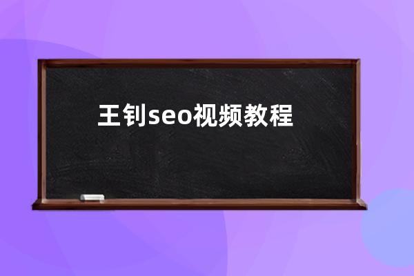 王钊seo视频教程