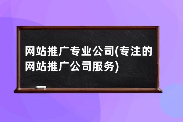 网站推广专业公司(专注的网站推广公司服务)