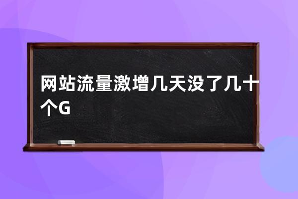 网站流量激增几天没了几十个G