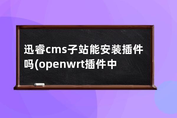 迅睿cms 子站能安装插件吗(openwrt插件中心)