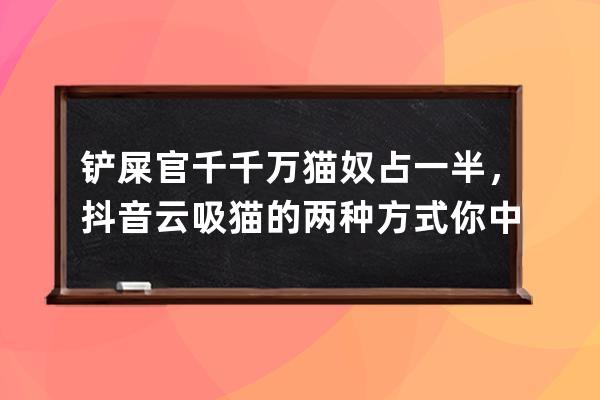 铲屎官千千万猫奴占一半，抖音云吸猫的两种方式你中枪没？_云吸猫为什么被 