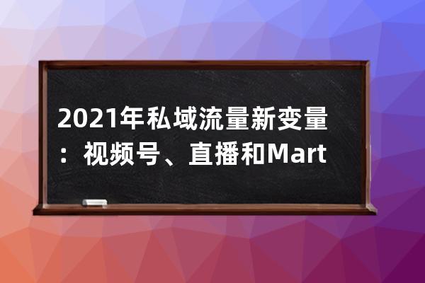 2021年私域流量新变量：视频号、直播和Martech 