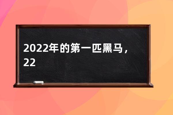 2022年的第一匹黑马，22条视频涨粉500万，他是怎么做到的？ 