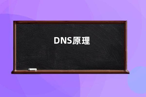 DNS原理?