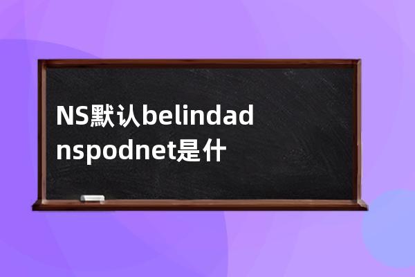  NS 默认 belinda.dnspod.net.是什么