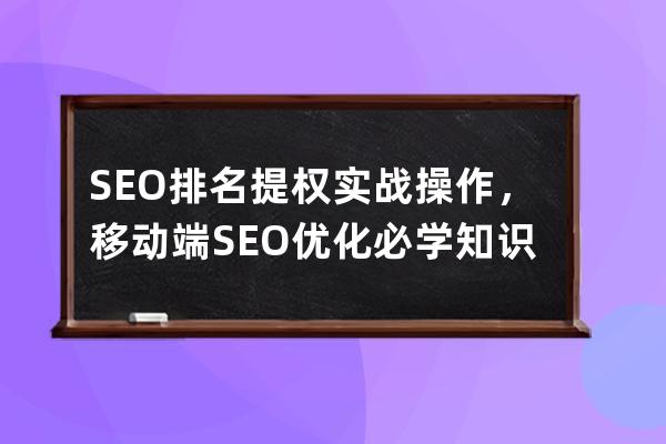 SEO排名提权实战操作，移动端SEO优化必学知识点