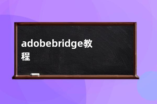 adobe bridge教程