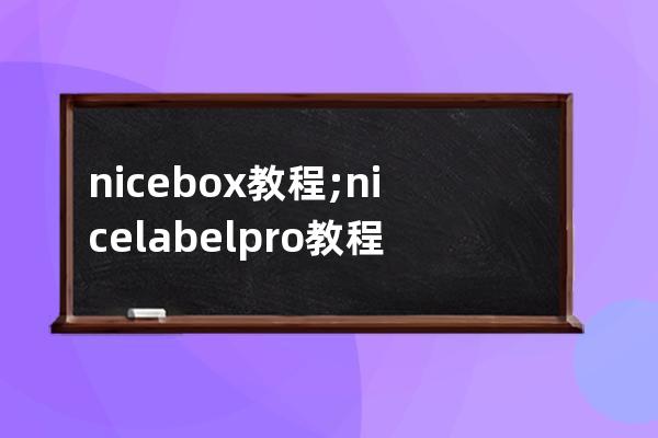 nicebox 教程;nicelabelpro教程