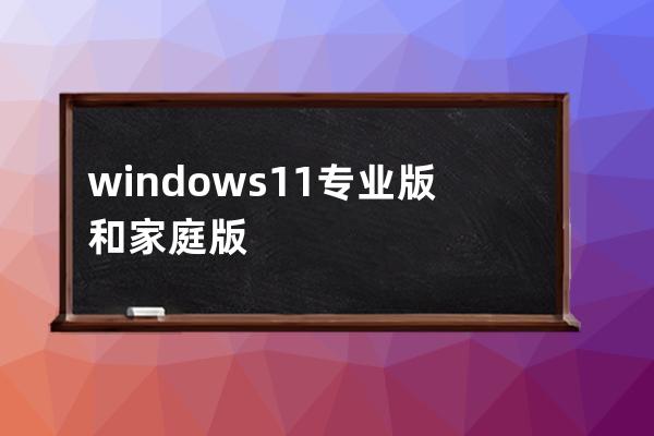 windows11专业版和家庭版的区别